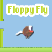 Floppy Fly